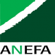 Logo anefa